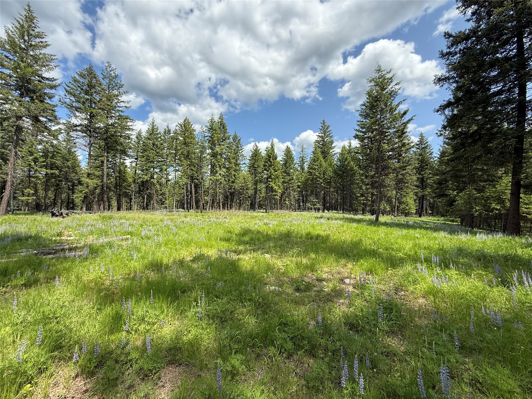 Parcel B Kootenai Drive Property Photo 16