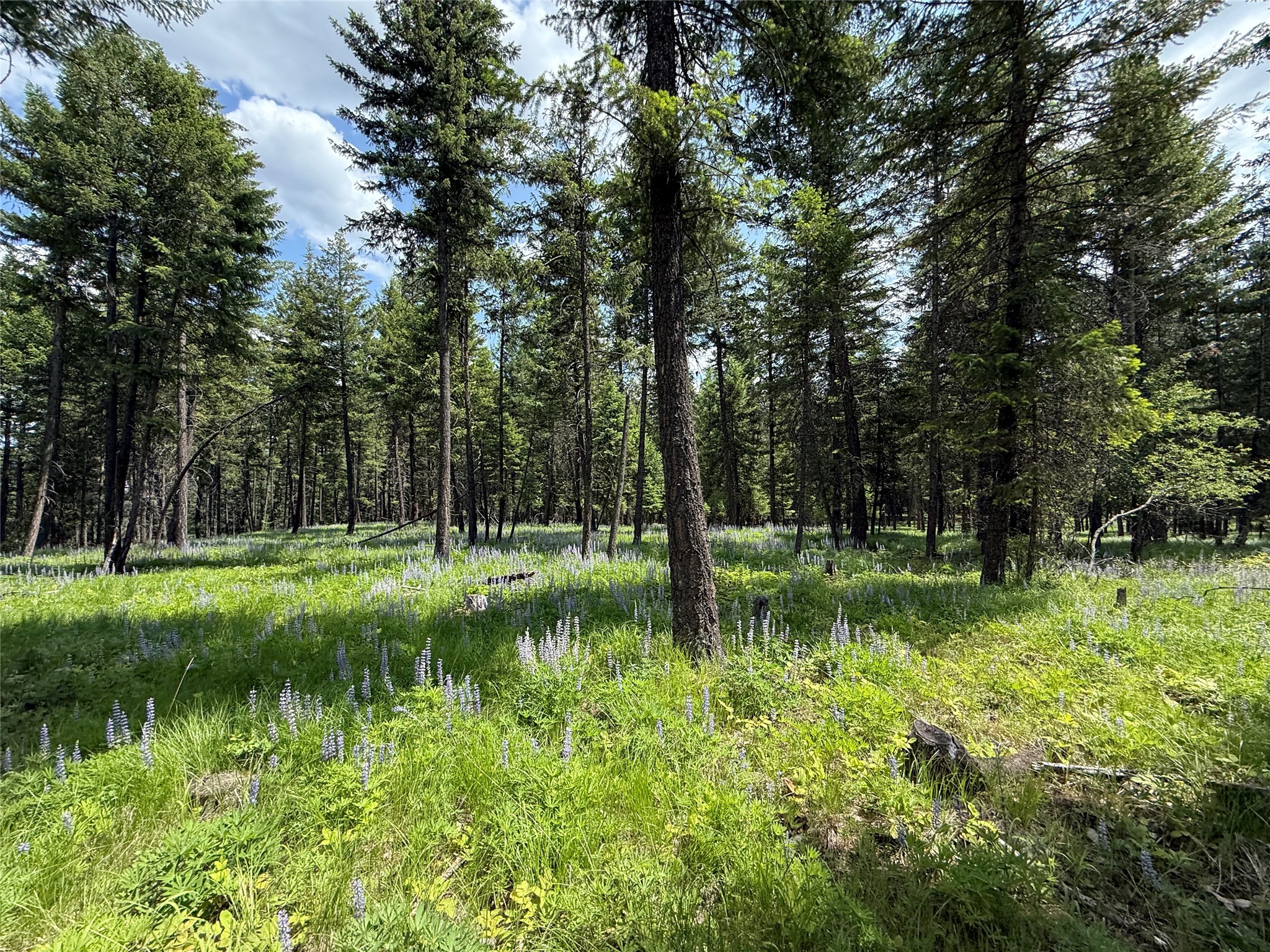 Parcel B Kootenai Drive Property Photo 17