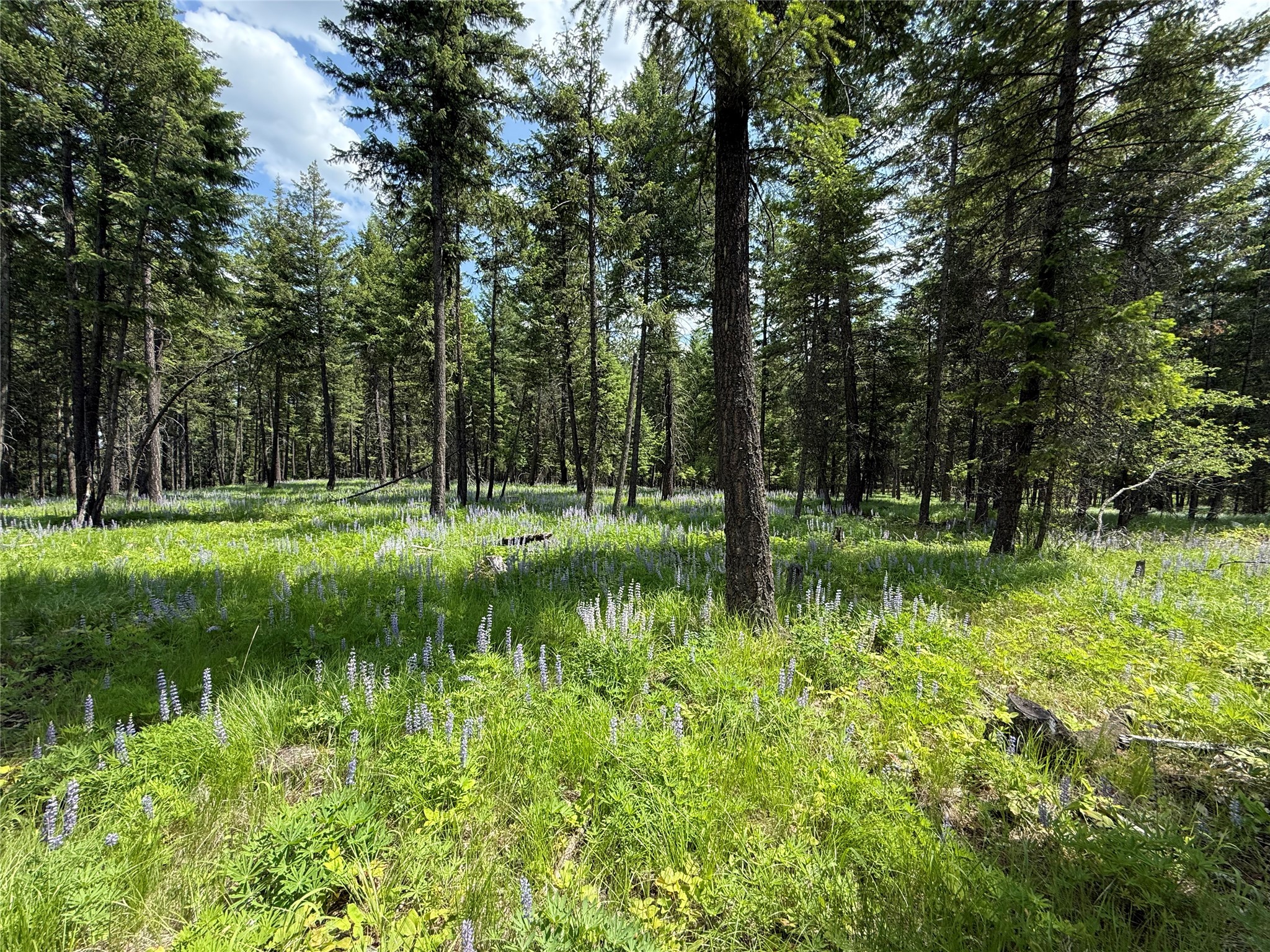 Parcel B Kootenai Drive Property Photo 18