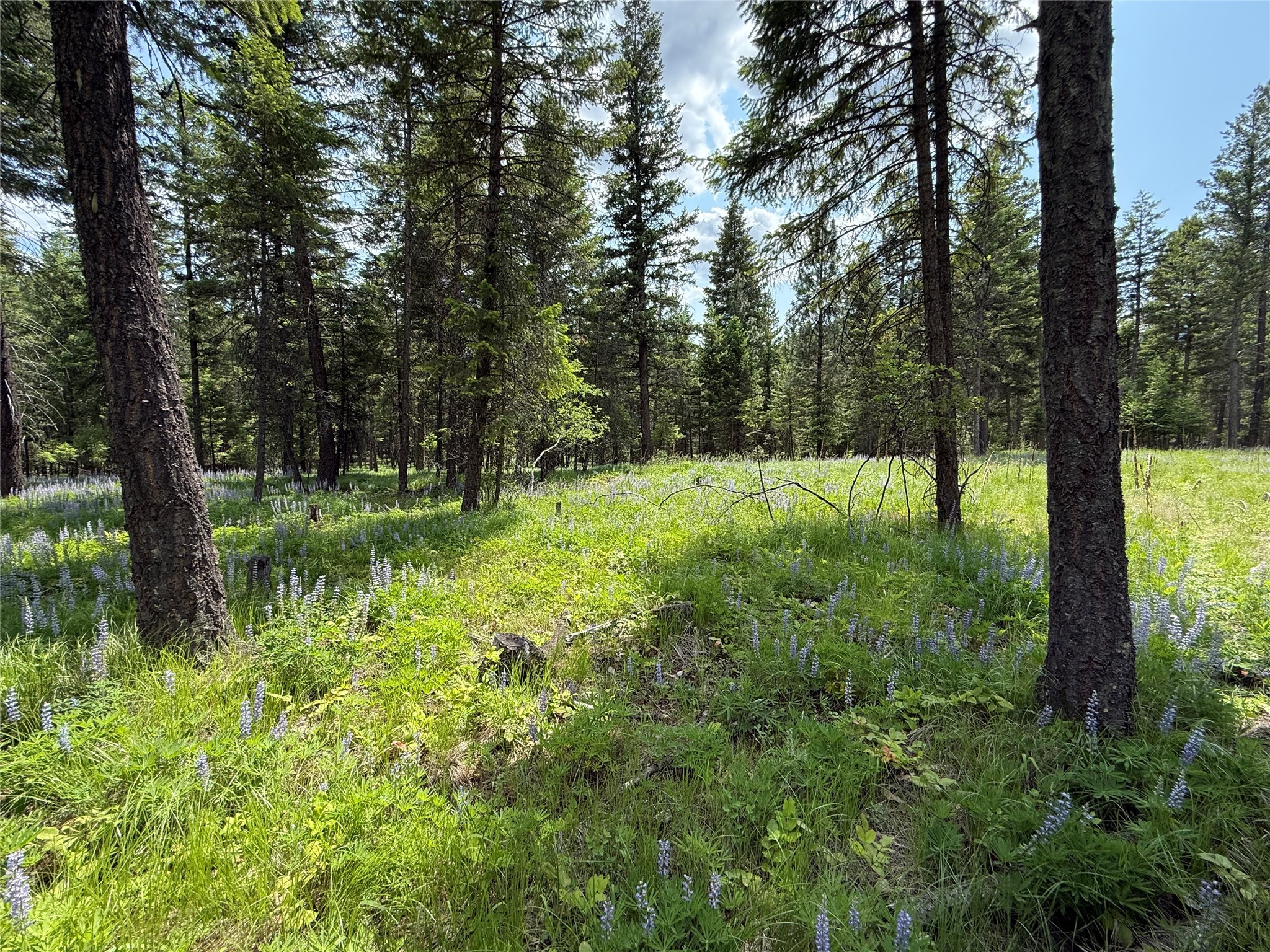 Parcel B Kootenai Drive Property Photo 19