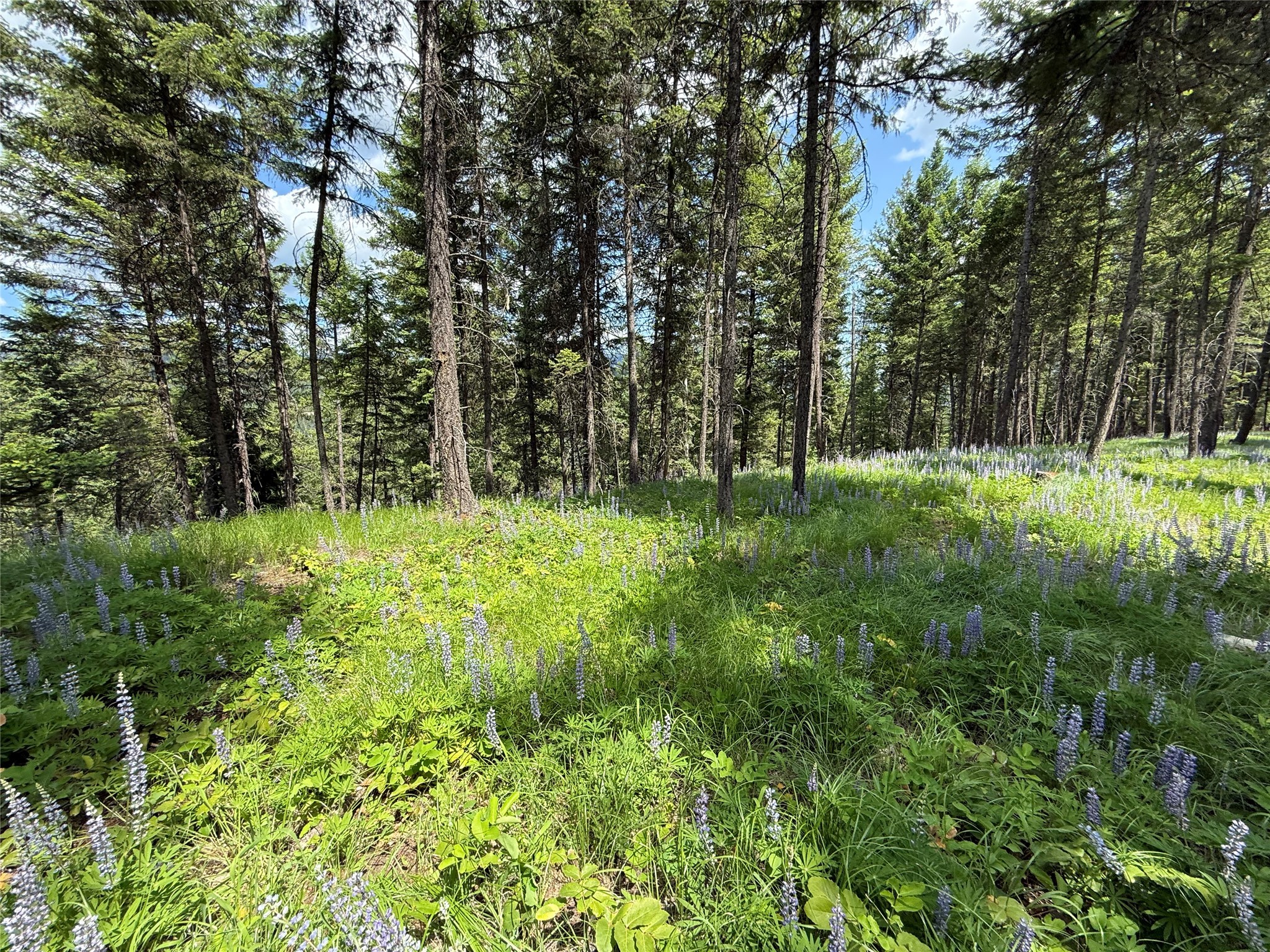 Parcel B Kootenai Drive Property Photo 20