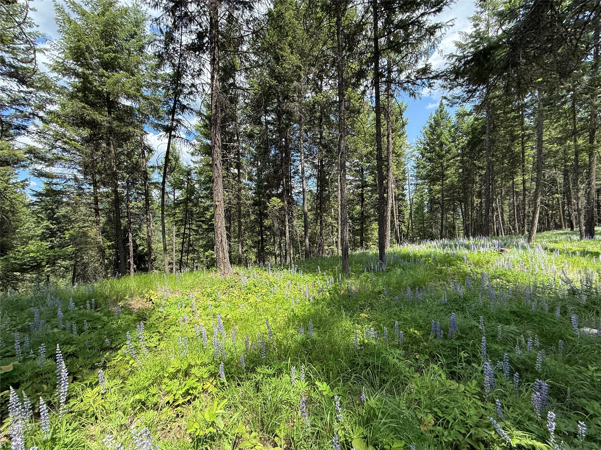 Parcel B Kootenai Drive Property Photo 21