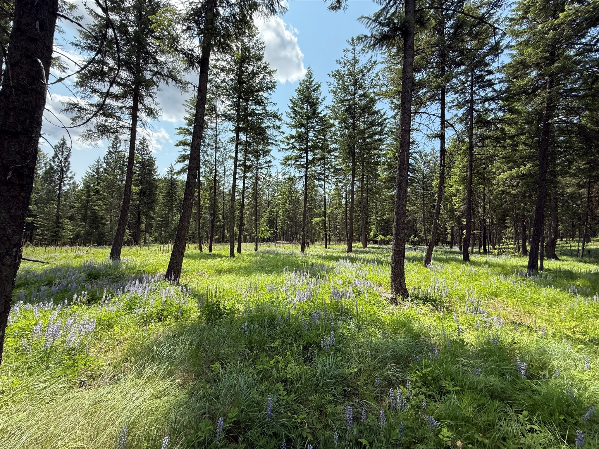 Parcel B Kootenai Drive Property Photo 23