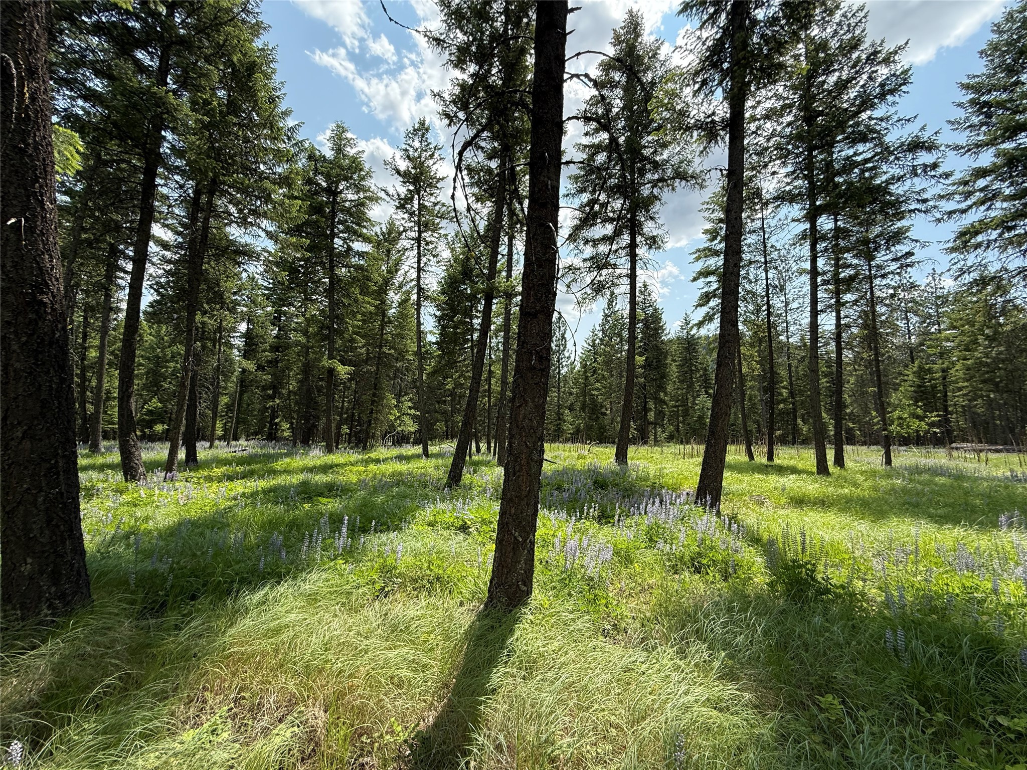 Parcel B Kootenai Drive Property Photo 24