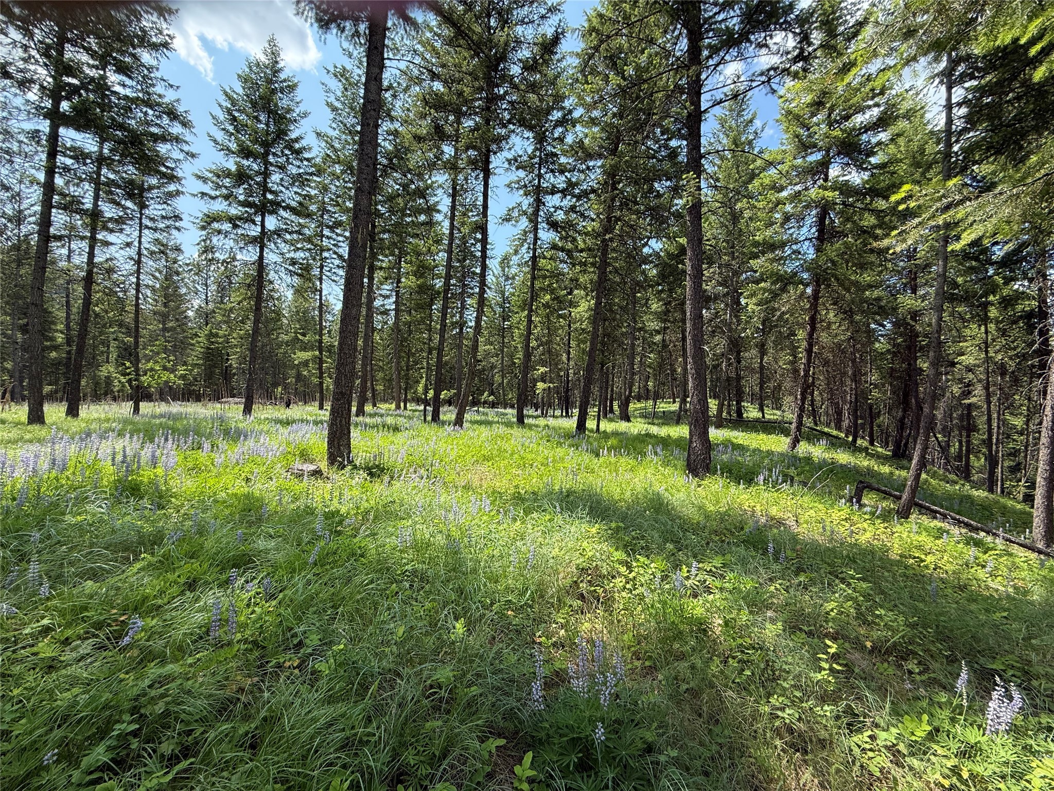 Parcel B Kootenai Drive Property Photo 25