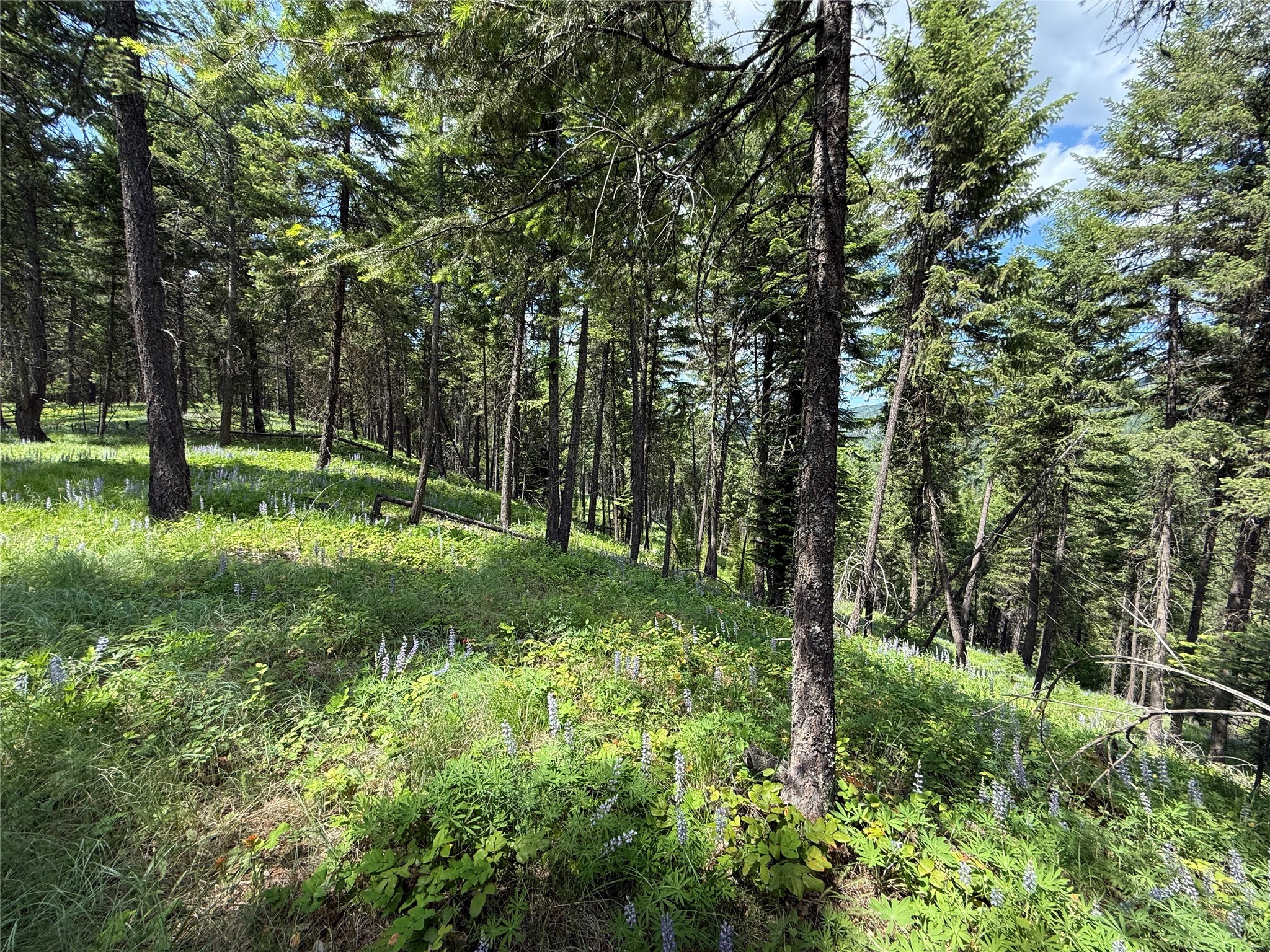 Parcel B Kootenai Drive Property Photo 26