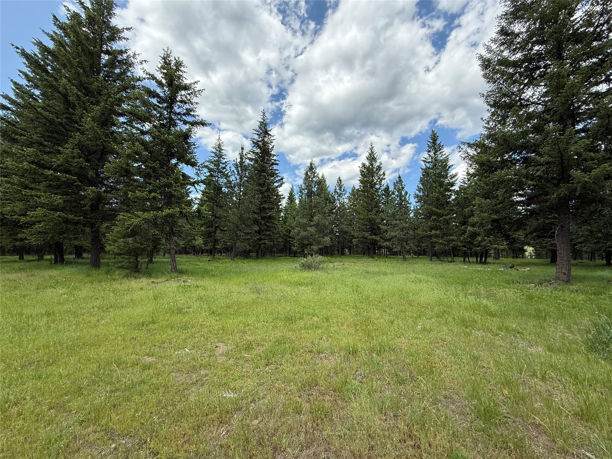 Parcel B Kootenai Drive Property Photo 27