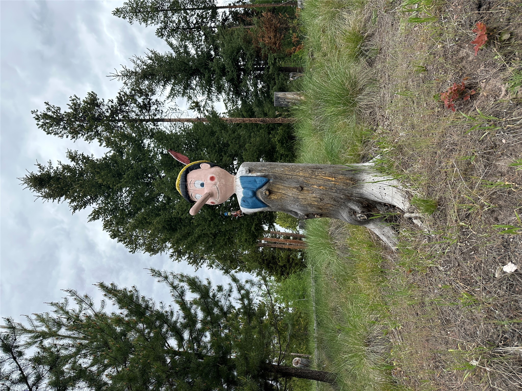 1148 Double Arrow Road Property Photo 4