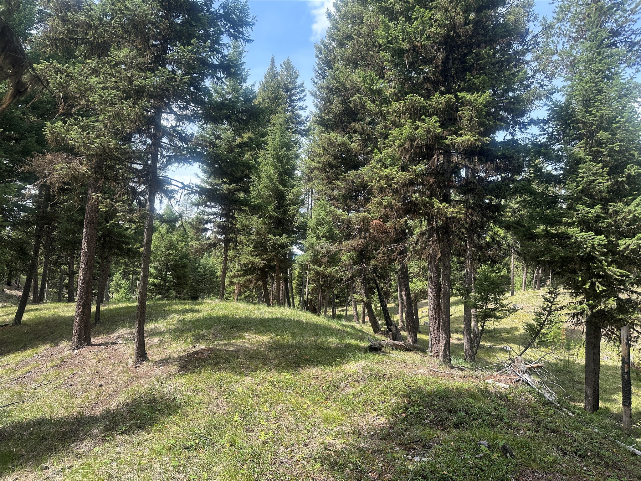 1148 Double Arrow Road Property Photo 22