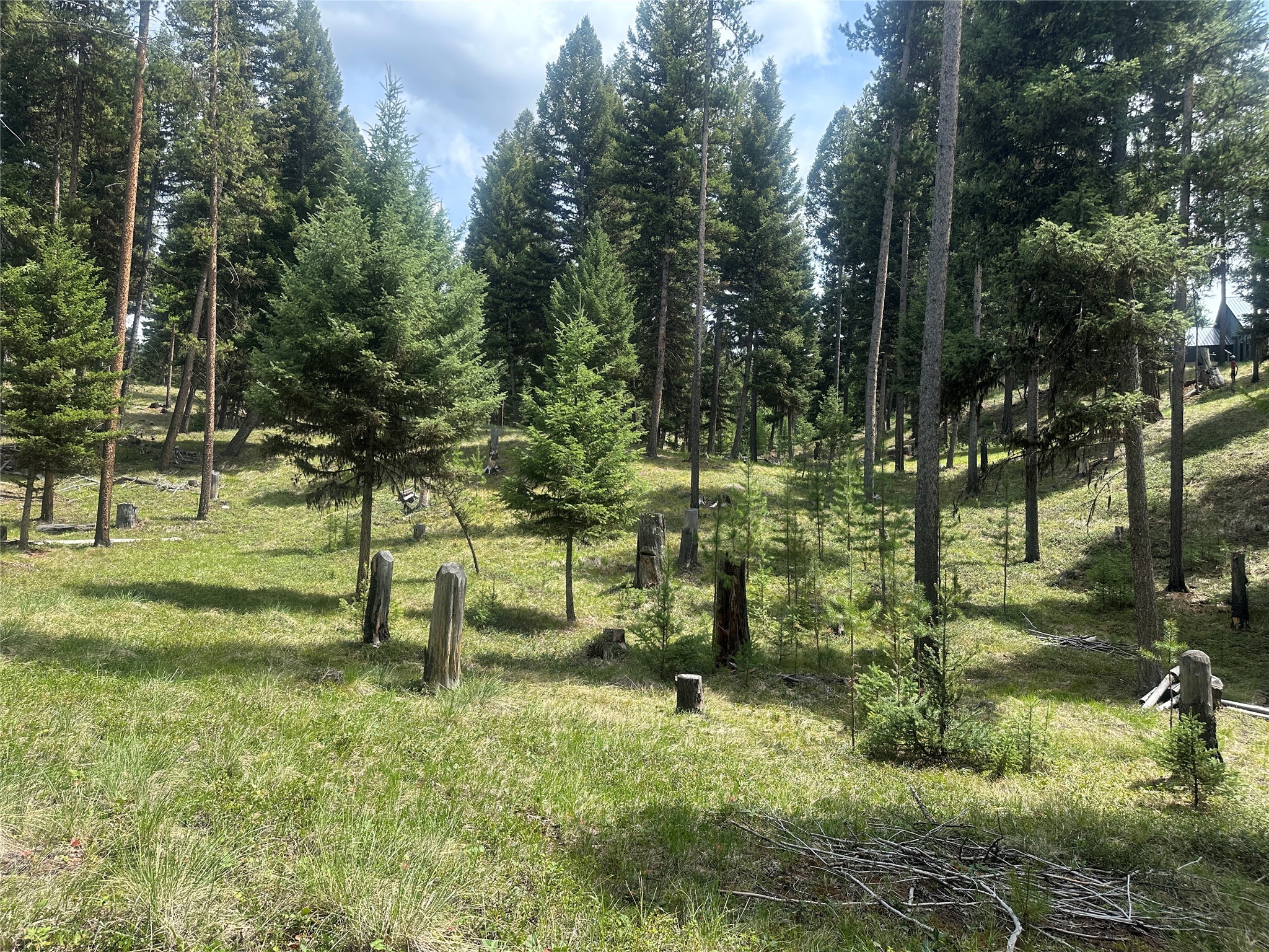 1148 Double Arrow Road Property Photo 38