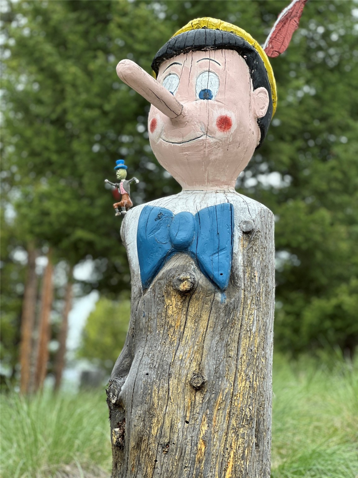 1148 Double Arrow Road Property Photo 40