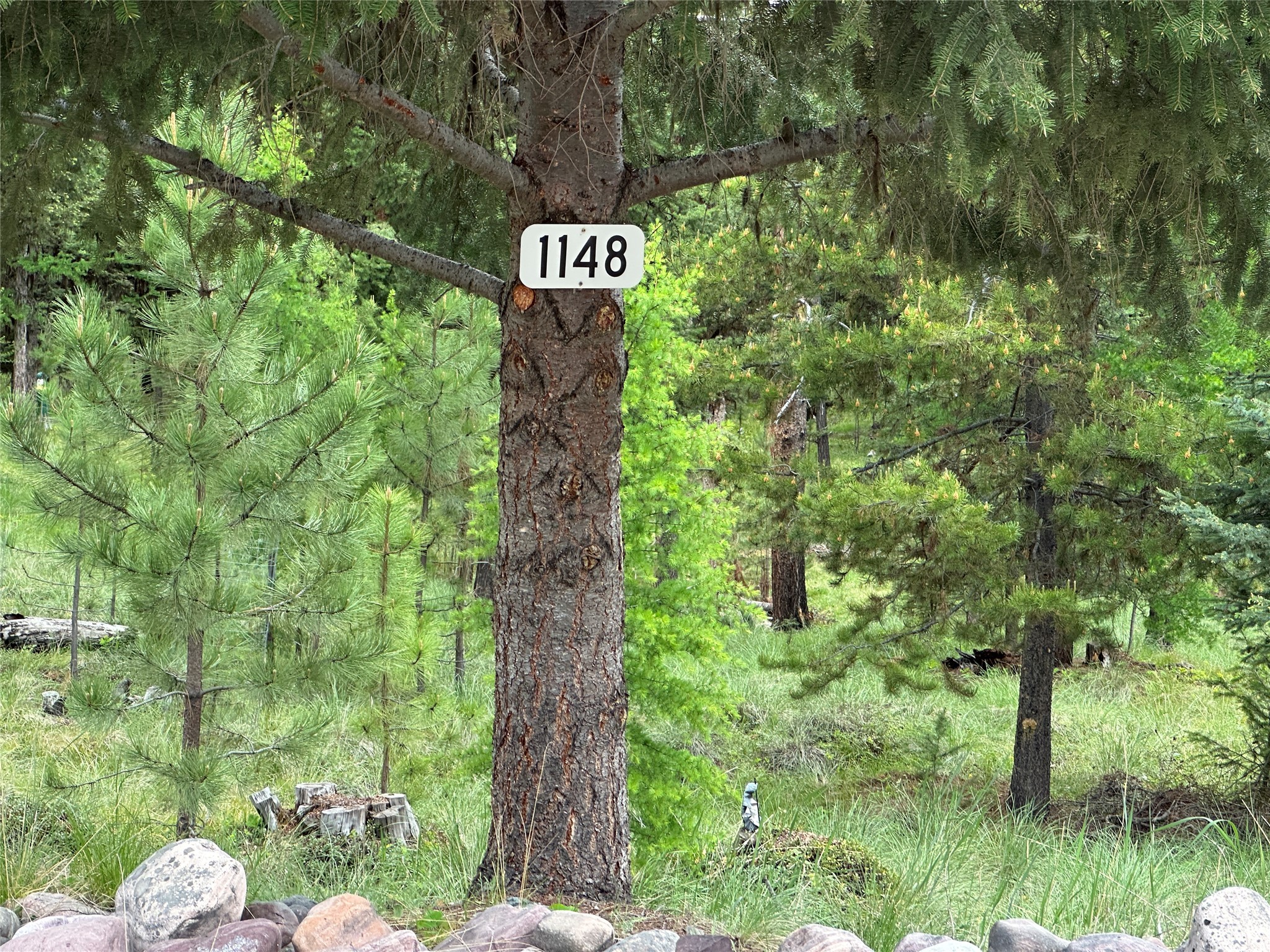 1148 Double Arrow Road Property Photo 41