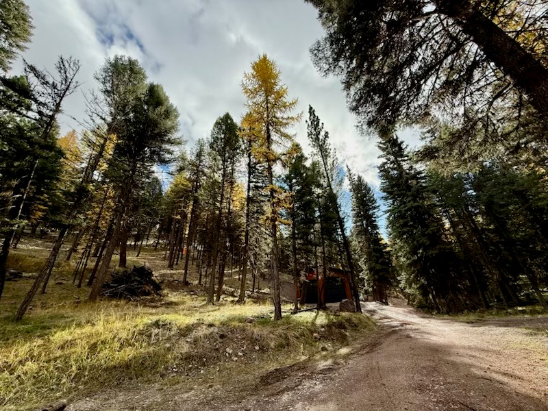 378 Bobcat Lane Property Photo 15