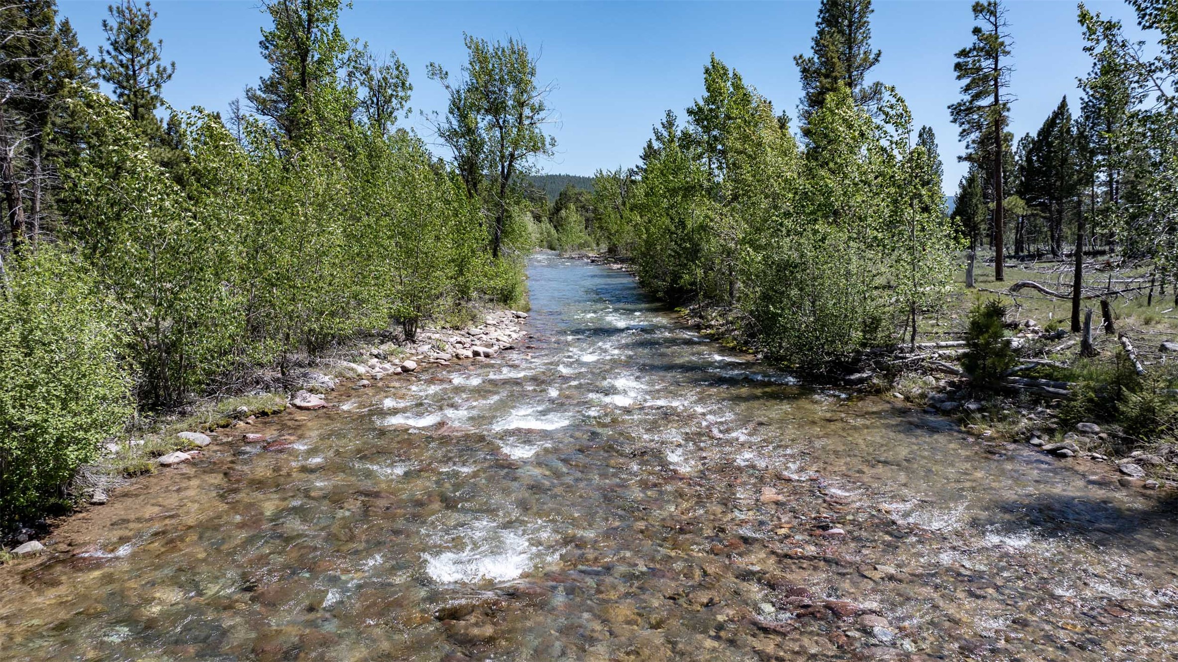 Tbd Landers Fork Road Property Photo 3