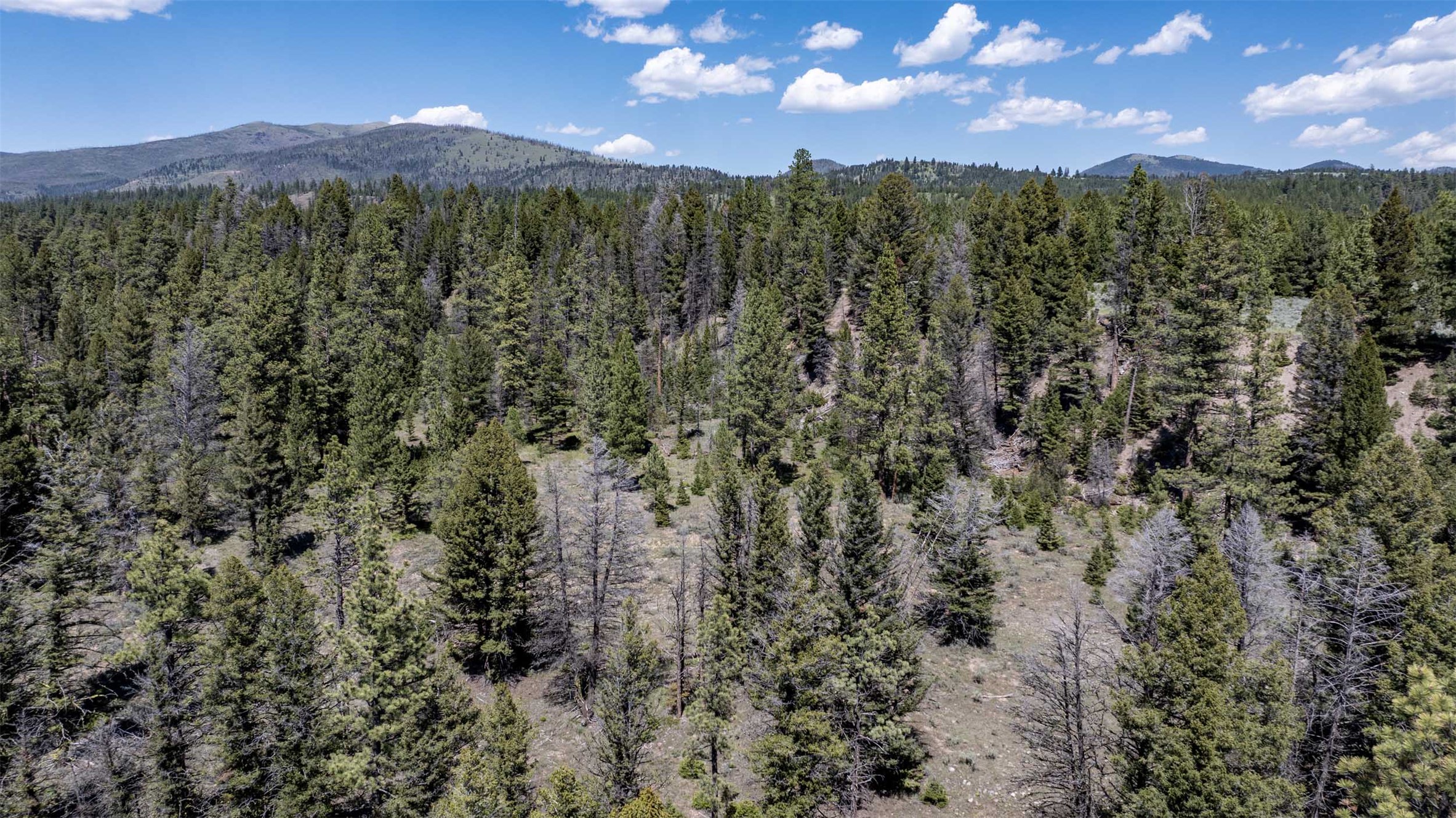 Tbd Landers Fork Road Property Photo 14