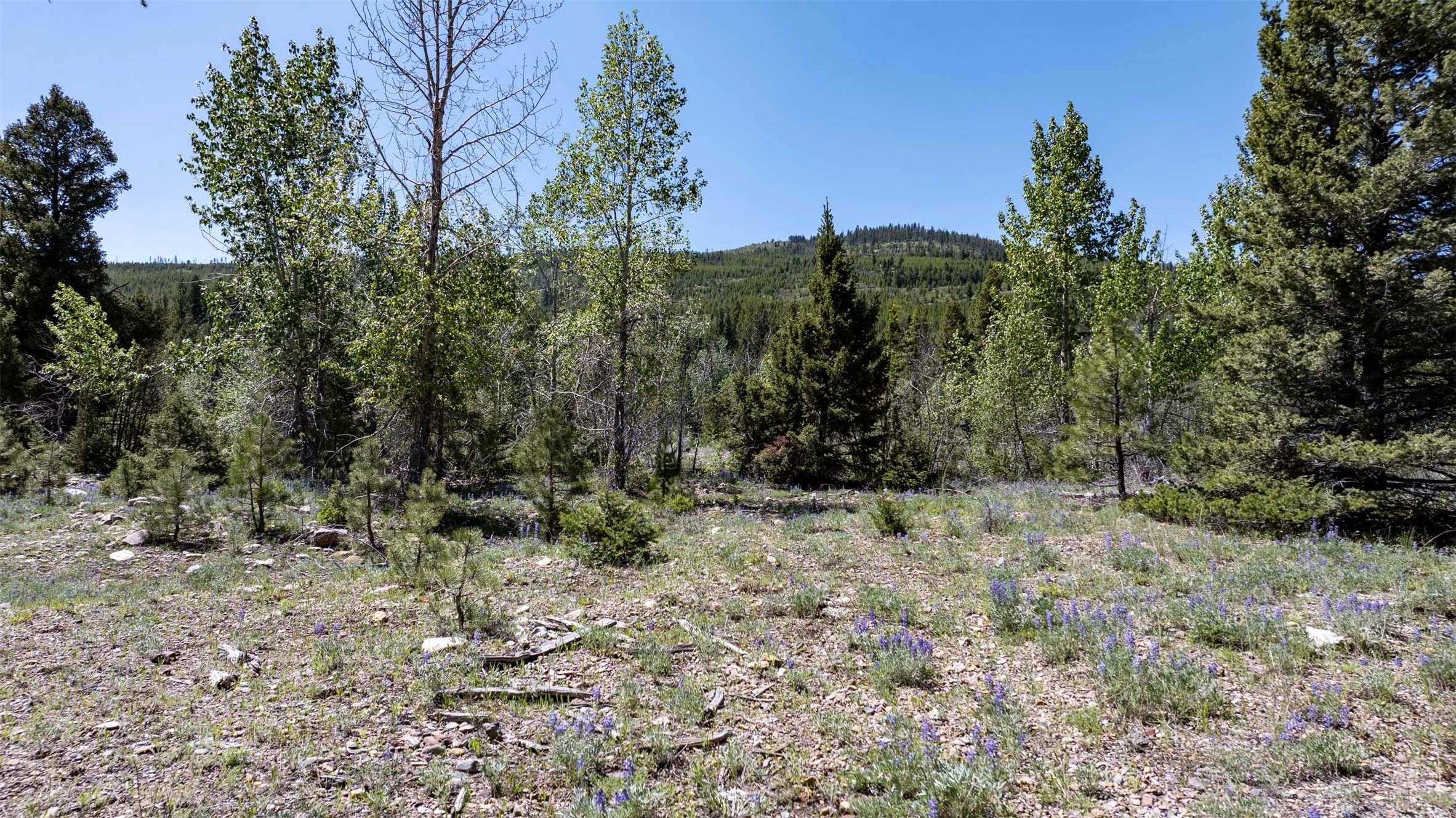 Tbd Landers Fork Road Property Photo 17