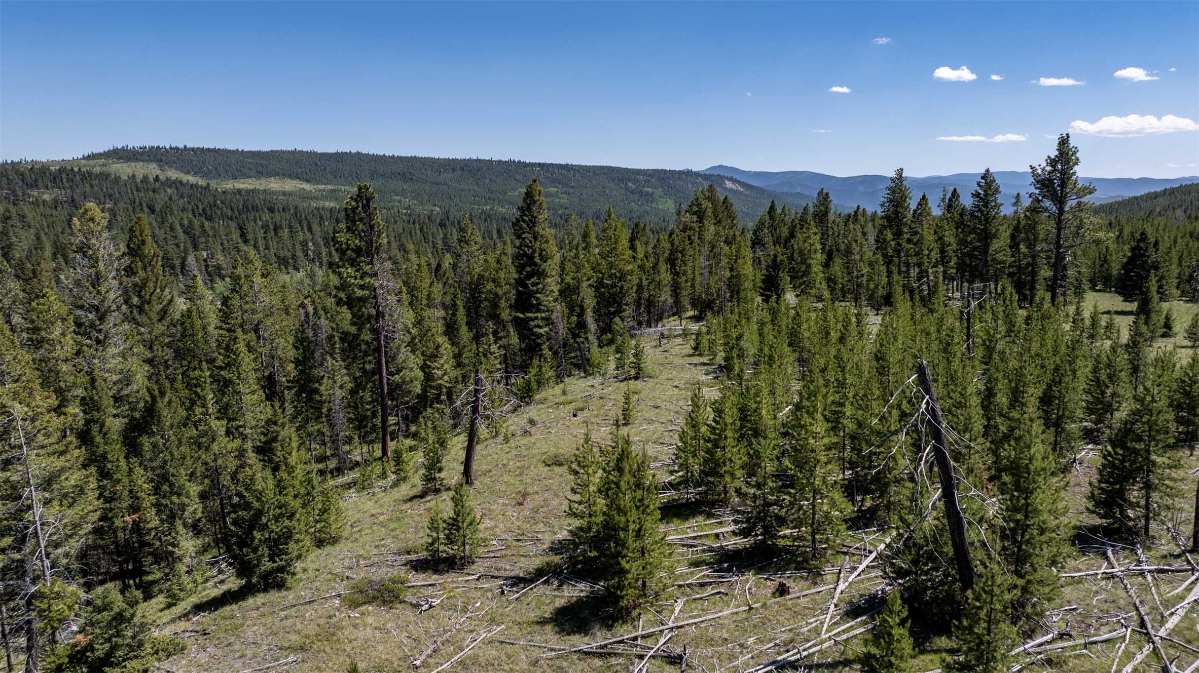 Tbd Landers Fork Road Property Photo 18