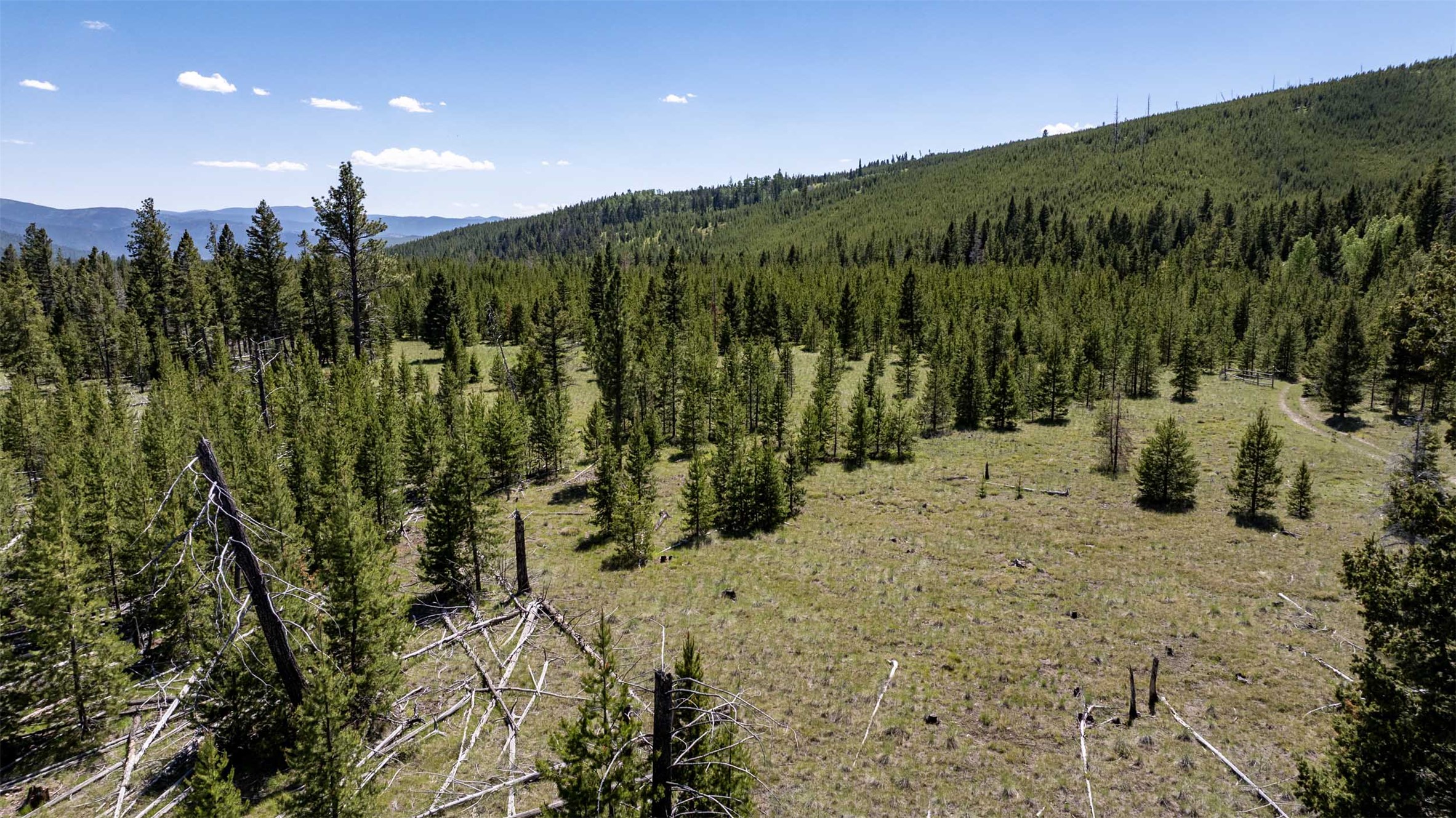 Tbd Landers Fork Road Property Photo 21