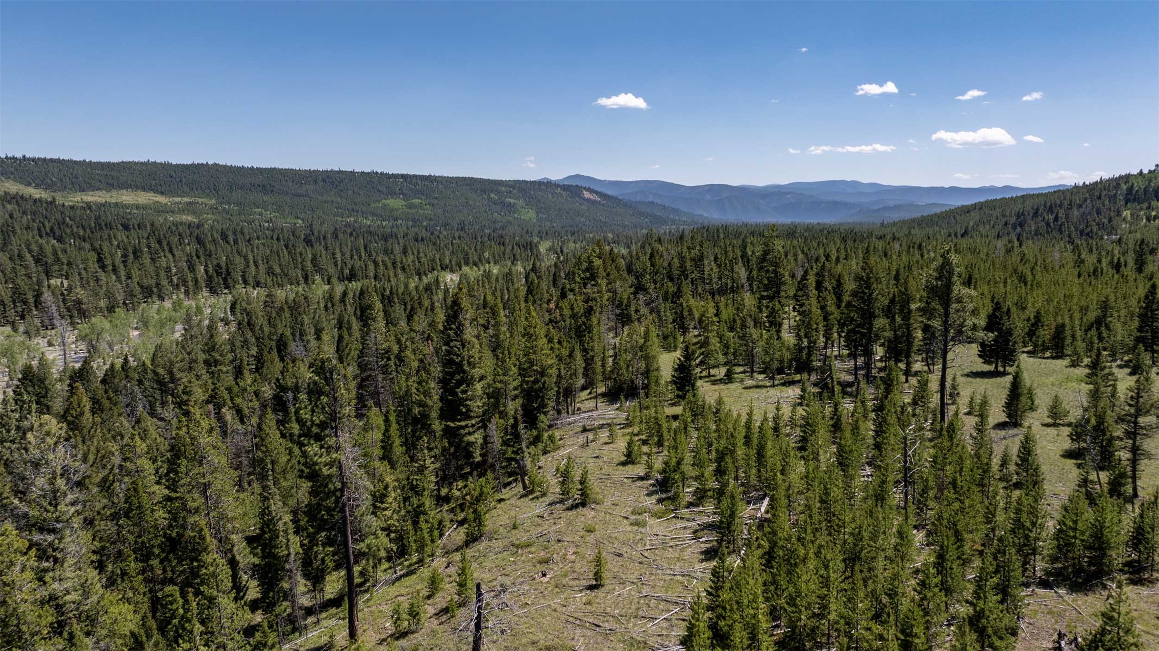 Tbd Landers Fork Road Property Photo 23