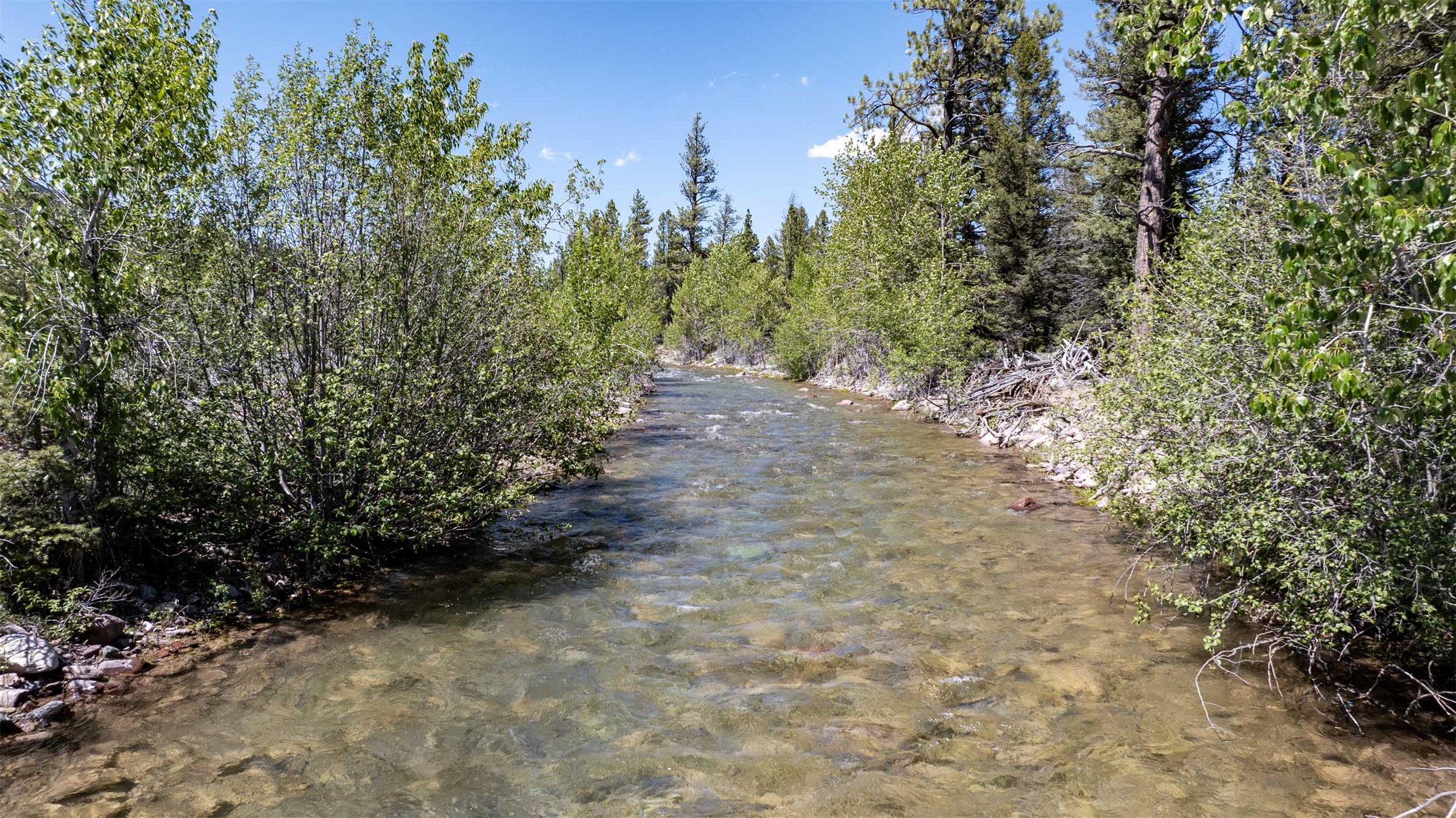 Tbd Landers Fork Road Property Photo 25
