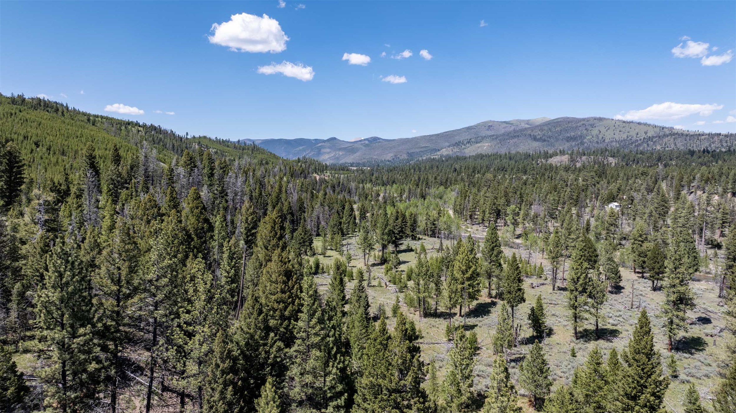 Tbd Landers Fork Road Property Photo 31