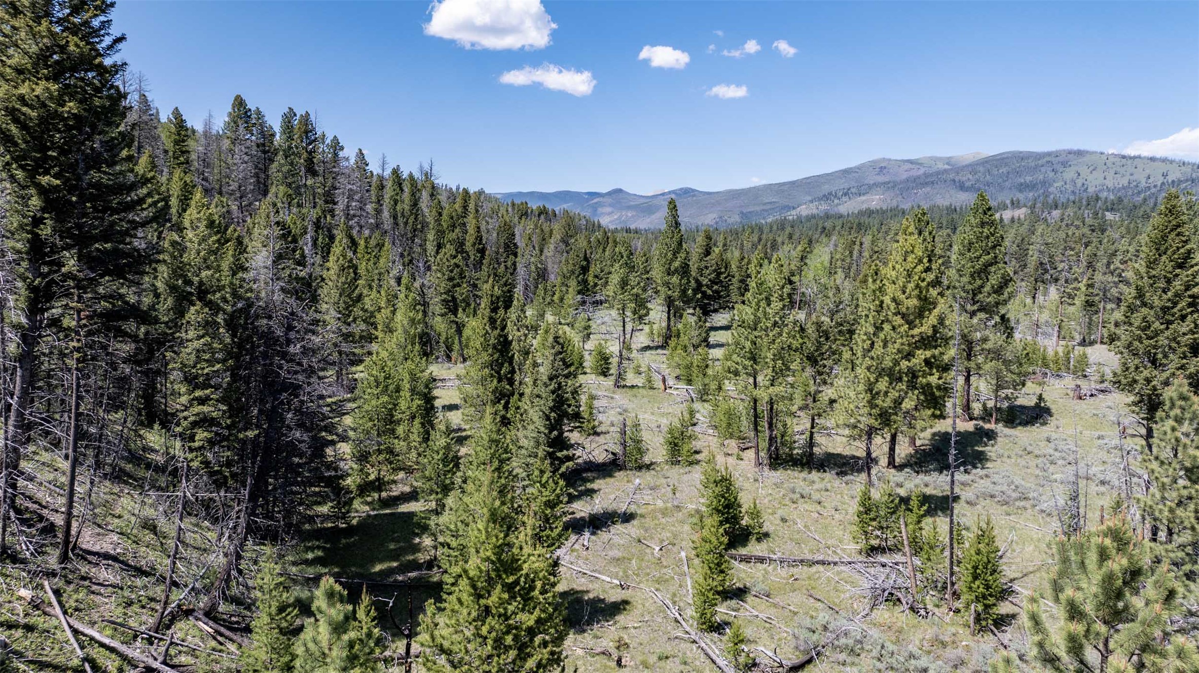 Tbd Landers Fork Road Property Photo 33