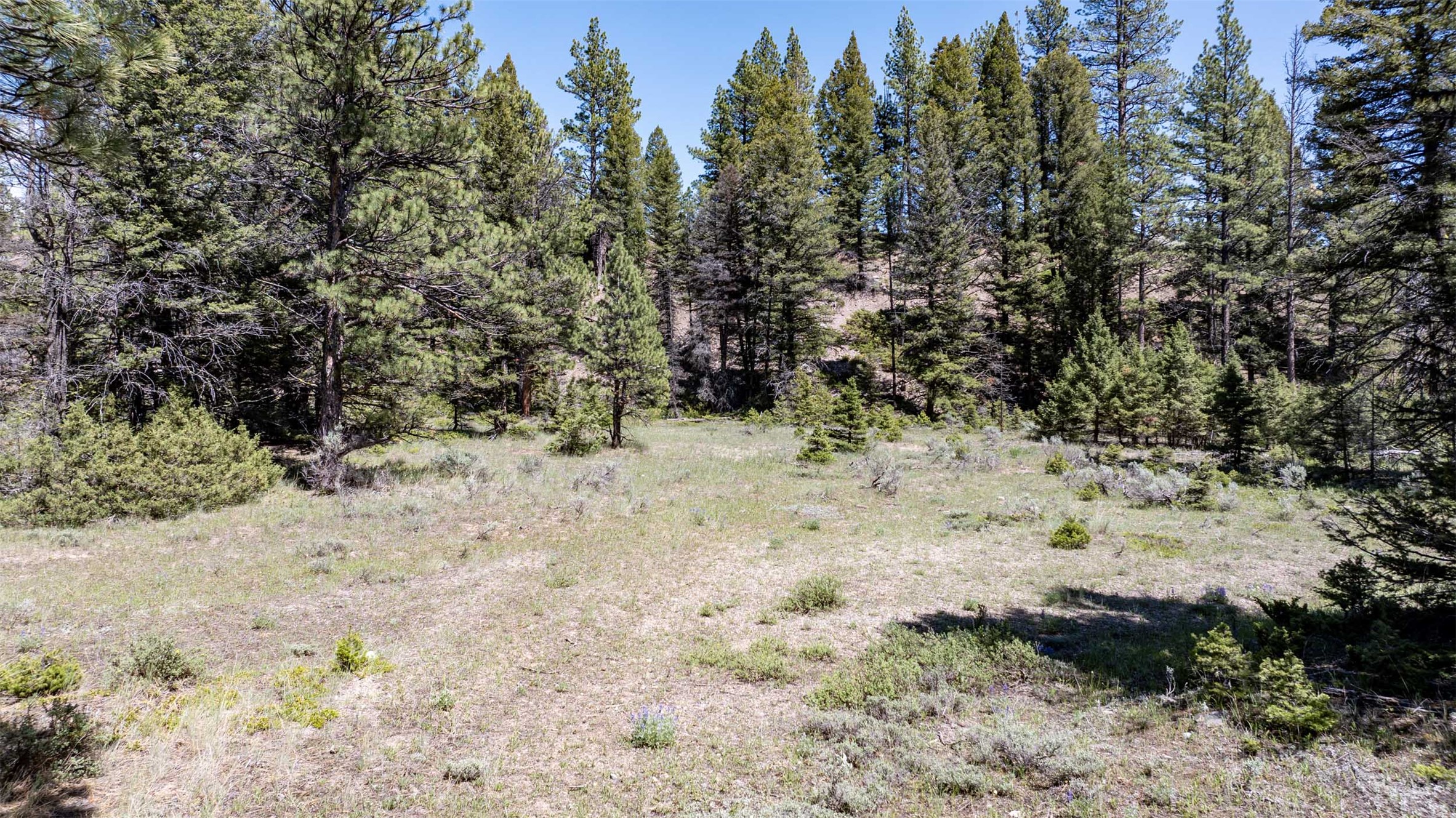 Tbd Landers Fork Road Property Photo 35