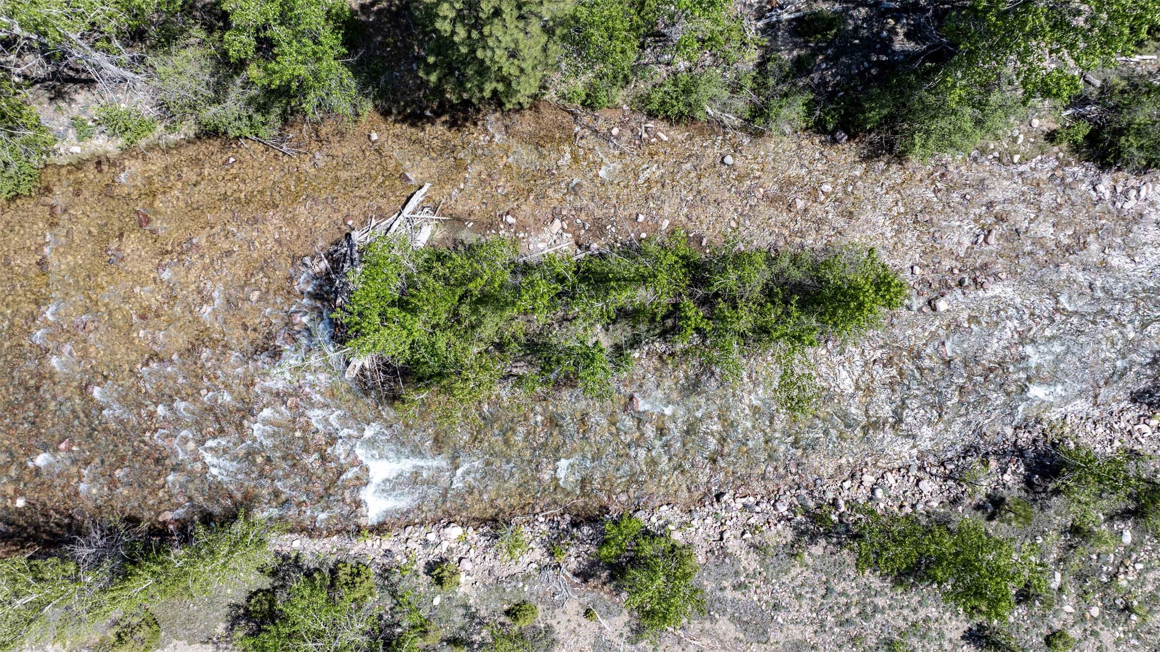 Tbd Landers Fork Road Property Photo 36