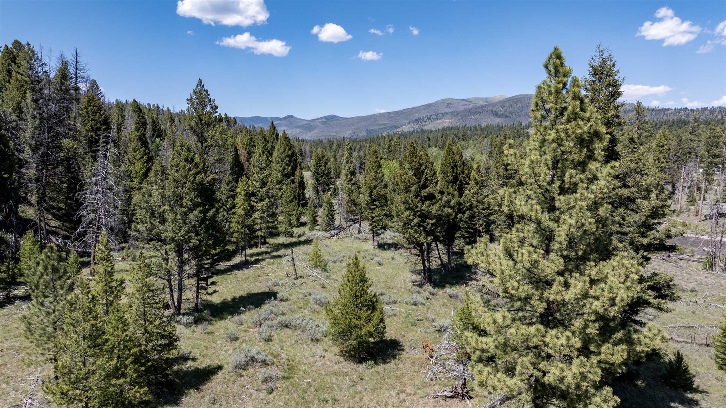 Tbd Landers Fork Road Property Photo 37