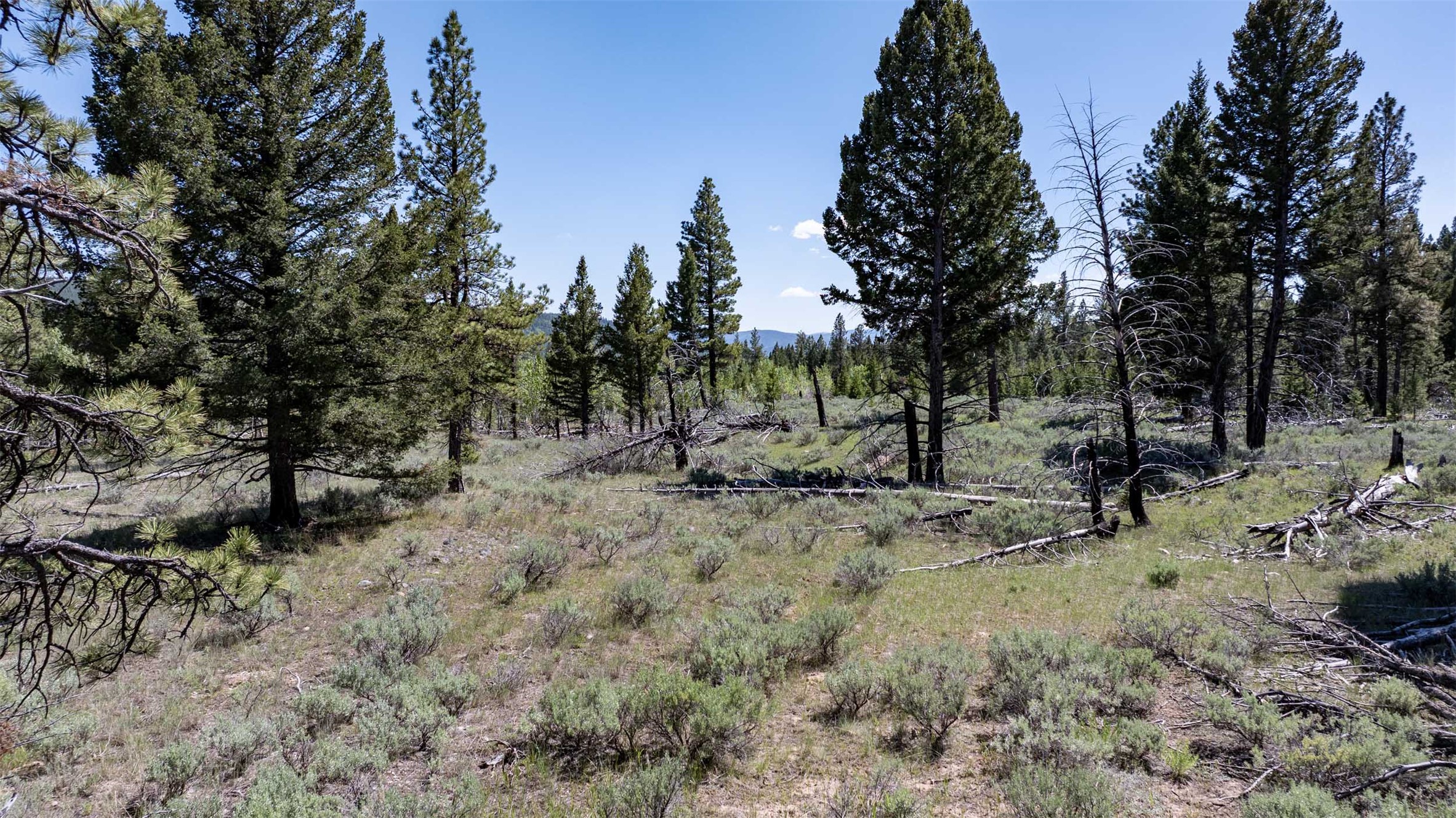 Tbd Landers Fork Road Property Photo 38