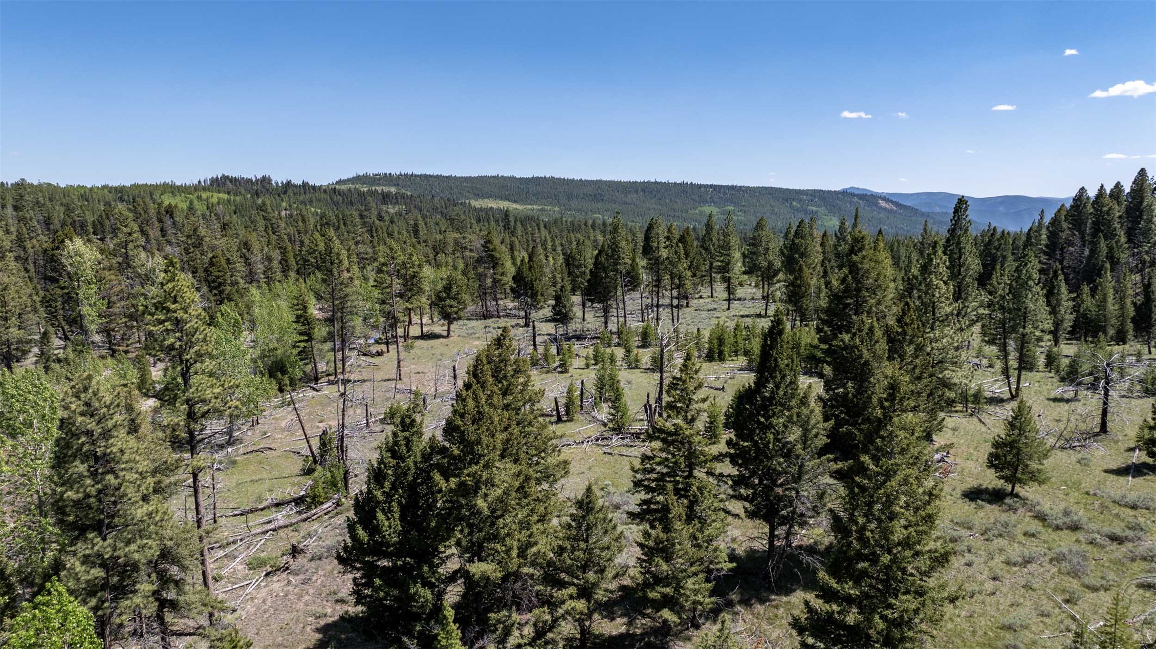 Tbd Landers Fork Road Property Photo 39