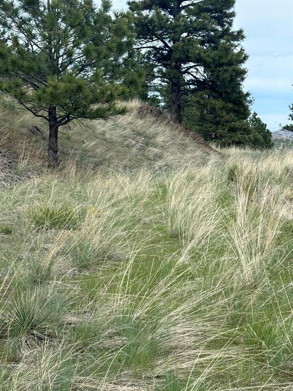 153 Cooper Drive Property Photo 14