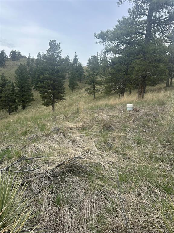 153 Cooper Drive Property Photo 16