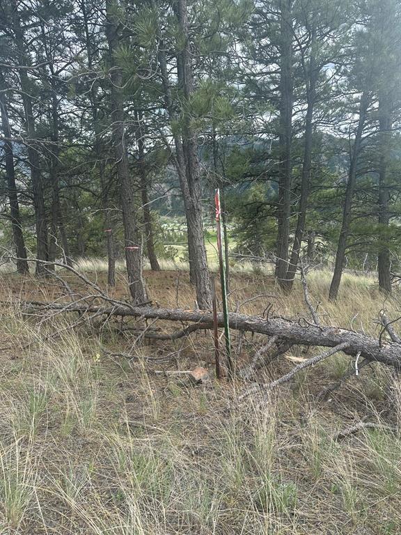 153 Cooper Drive Property Photo 17