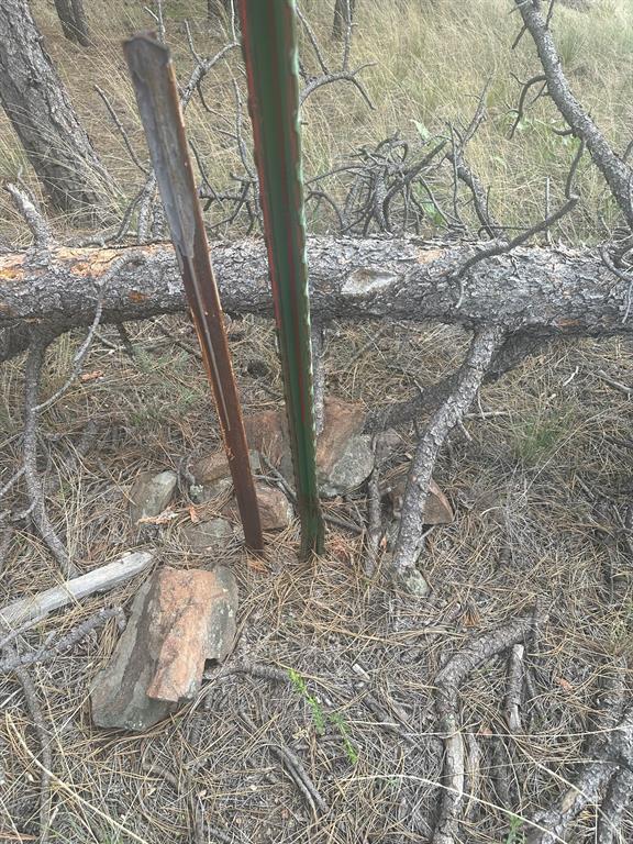 153 Cooper Drive Property Photo 18