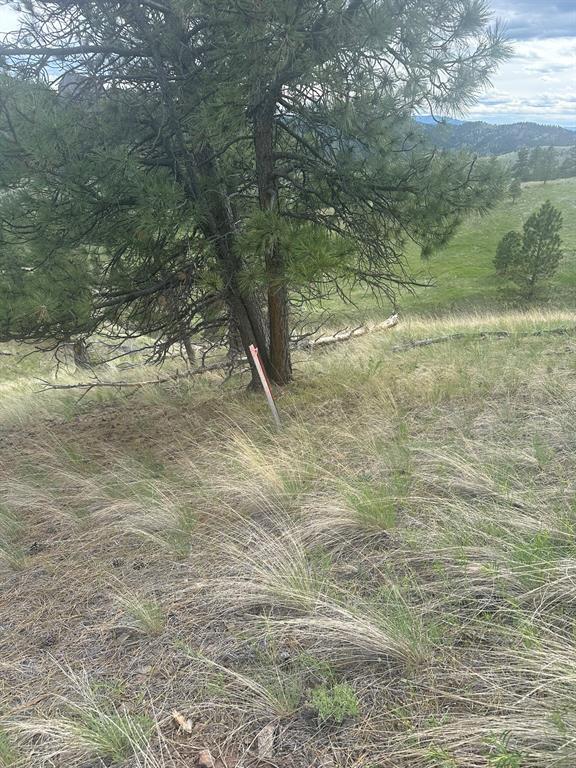 153 Cooper Drive Property Photo 19