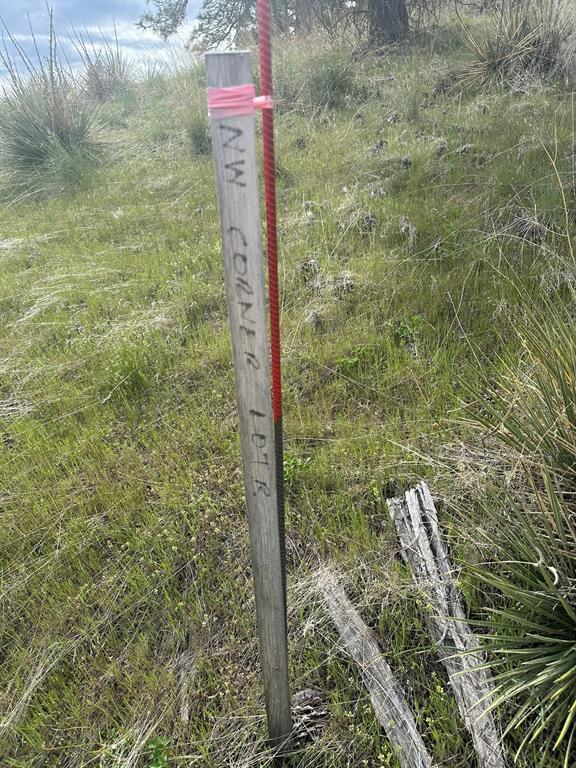 153 Cooper Drive Property Photo 21