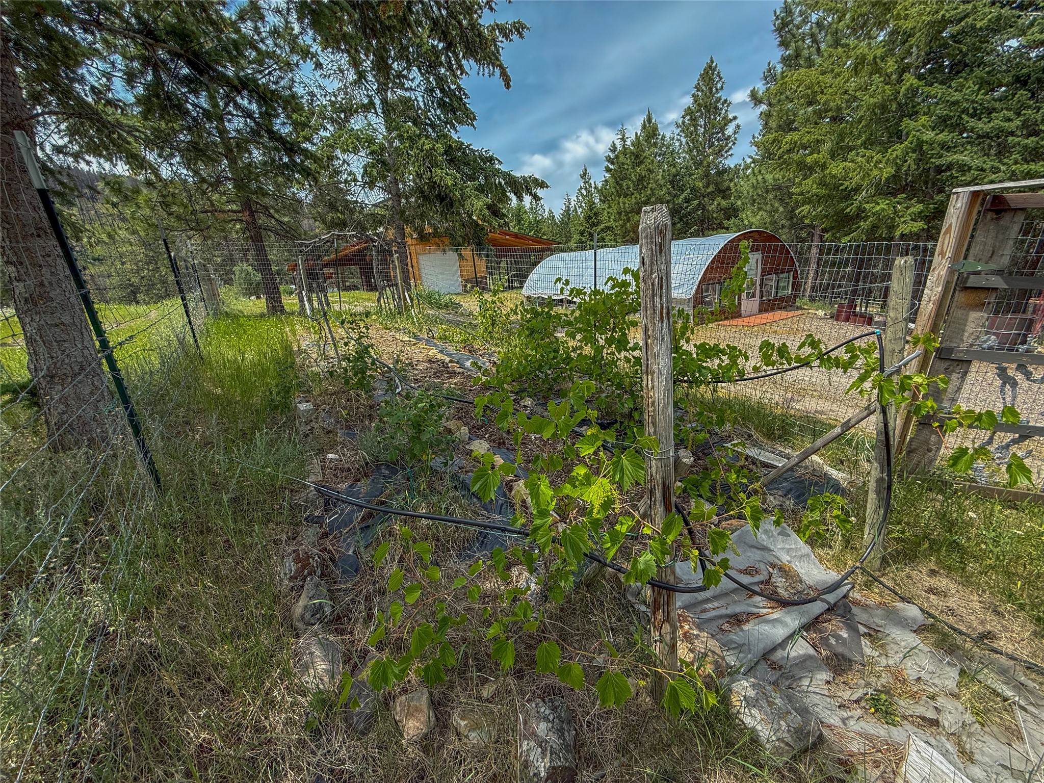23254 Dayton Creek Road Property Photo 62