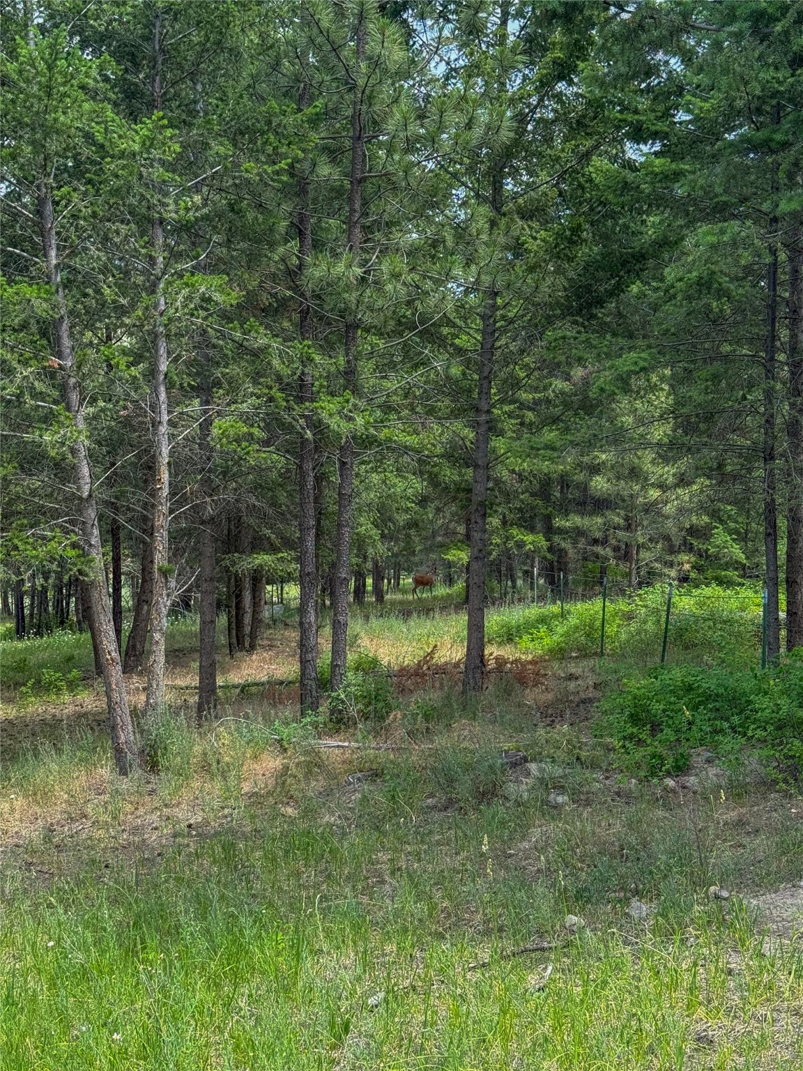 23254 Dayton Creek Road Property Photo 71
