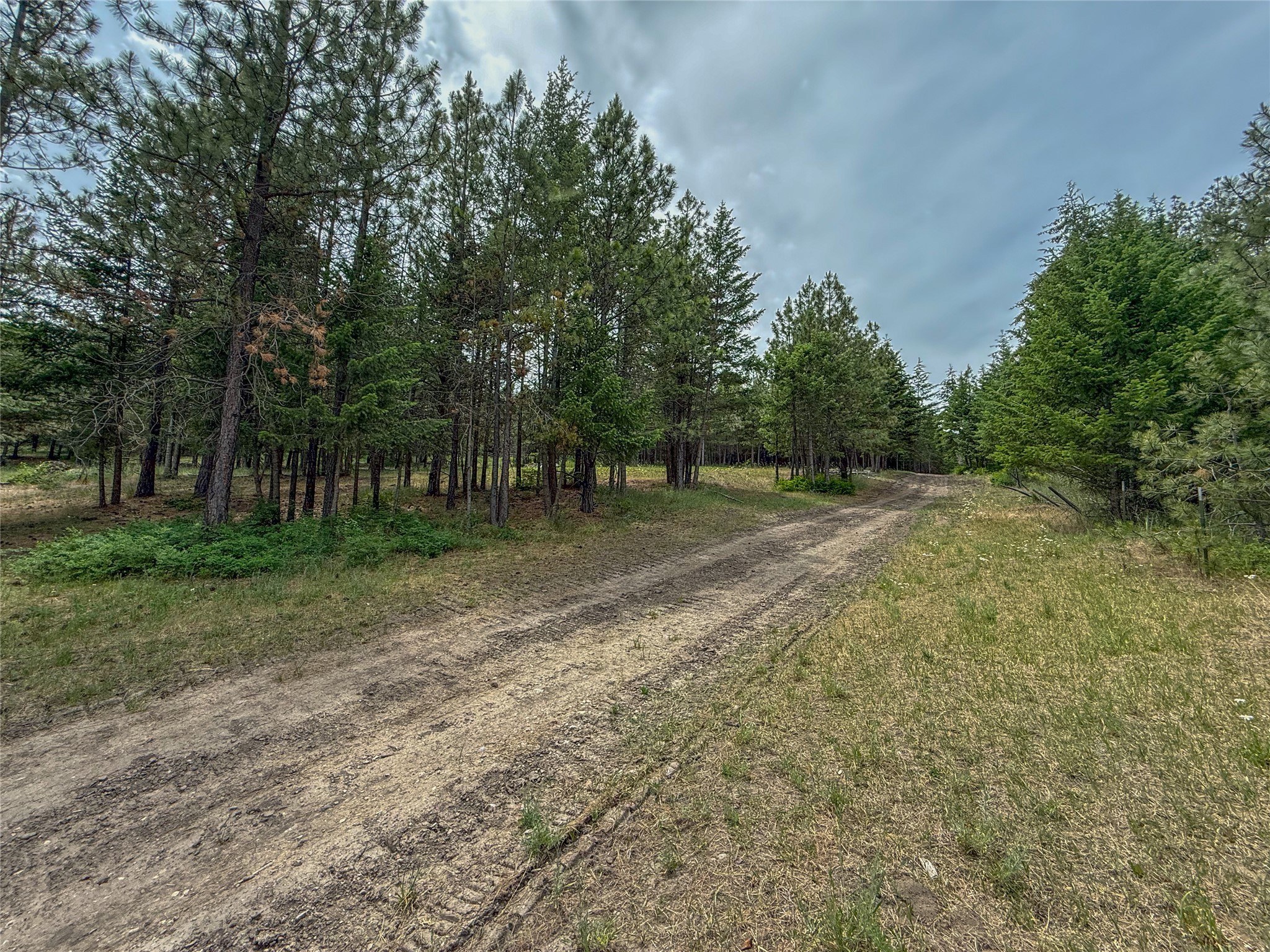 23254 Dayton Creek Road Property Photo 73