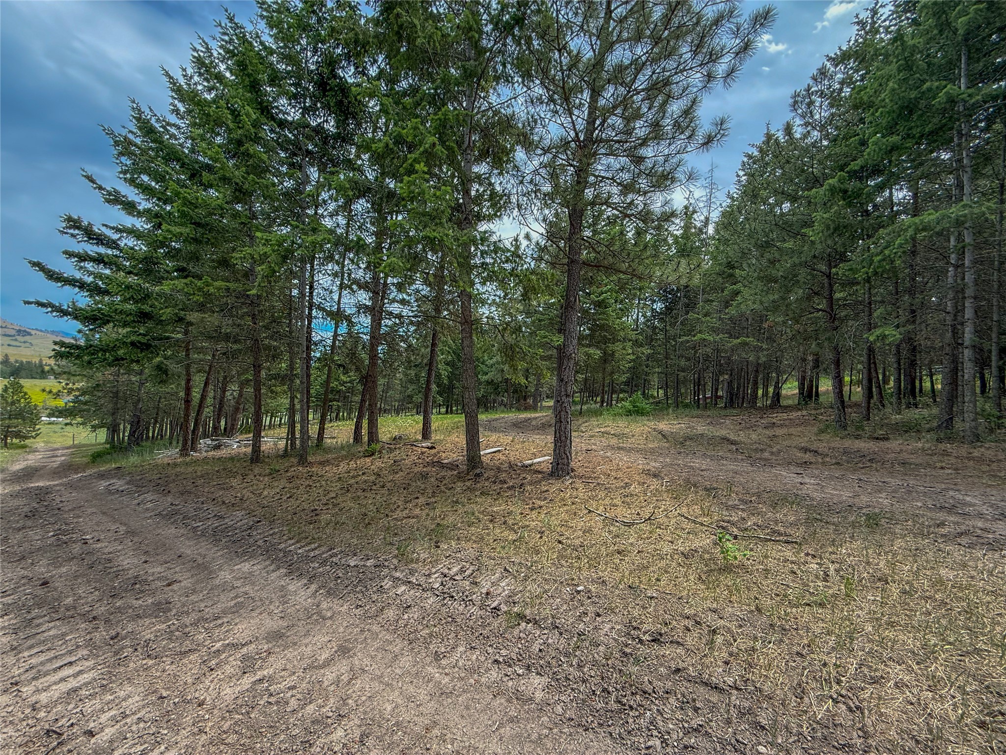 23254 Dayton Creek Road Property Photo 74