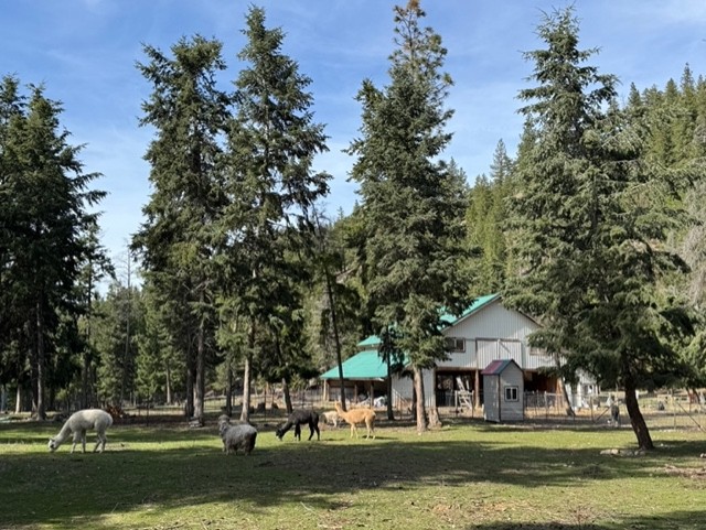 2368 Petty Creek Road Property Photo 37