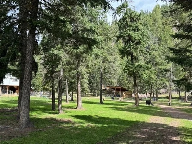 2368 Petty Creek Road Property Photo 39