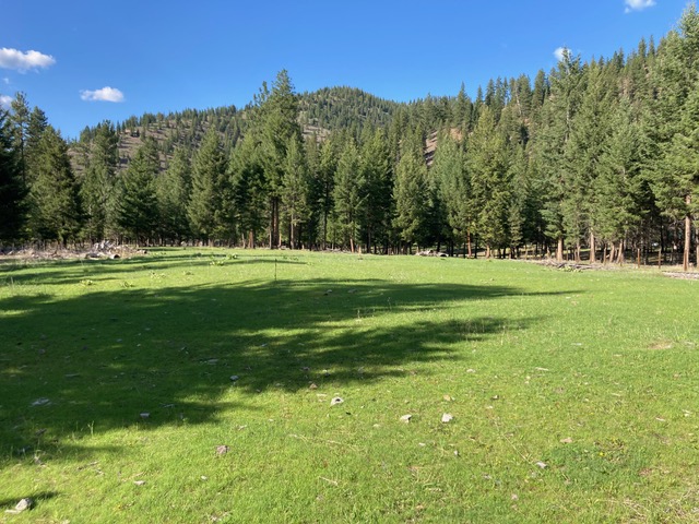 2368 Petty Creek Road Property Photo 40