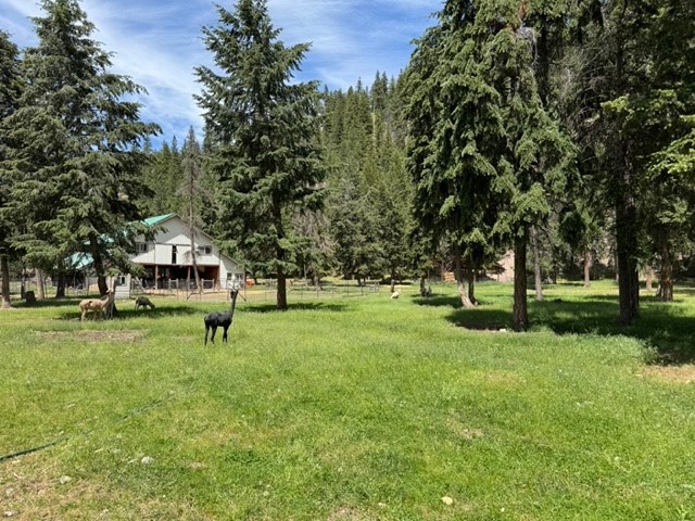2368 Petty Creek Road Property Photo 46