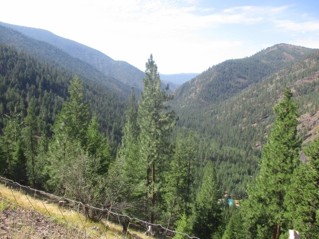 2368 Petty Creek Road Property Photo 59