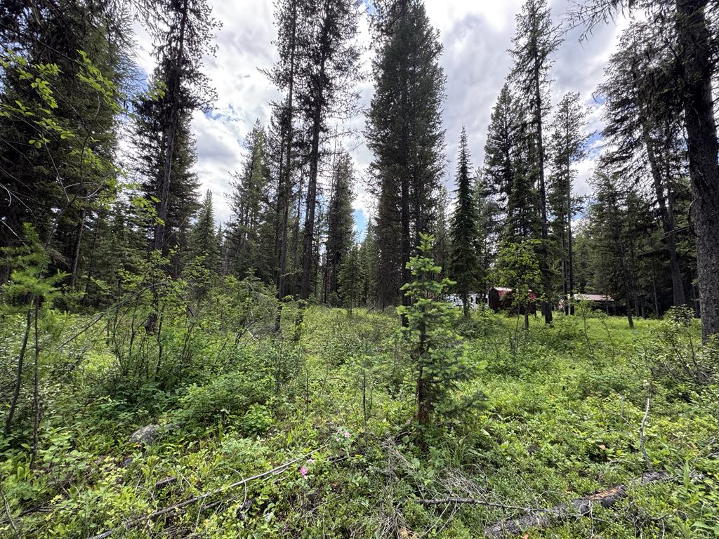 768 Deep Woods Trail Property Photo 1