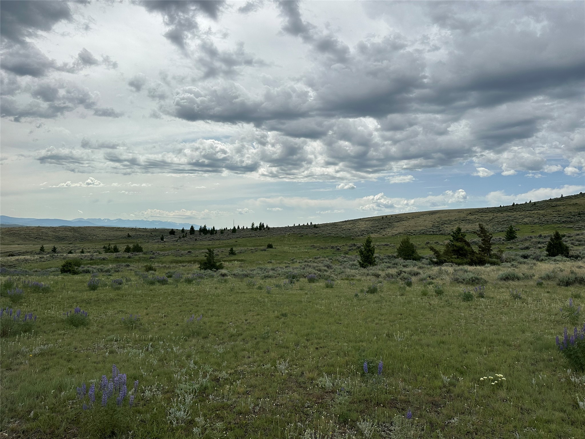 64 Mountain View Trail Property Photo 24