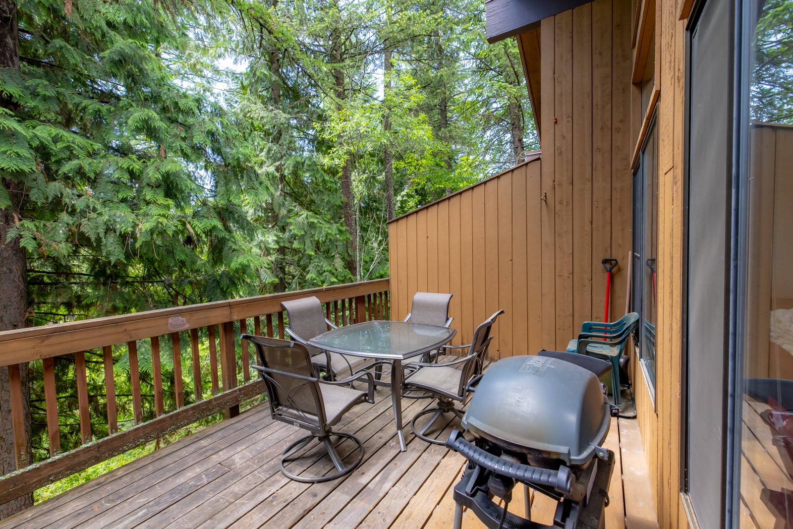 60 Limber Pine 60 Property Photo 23