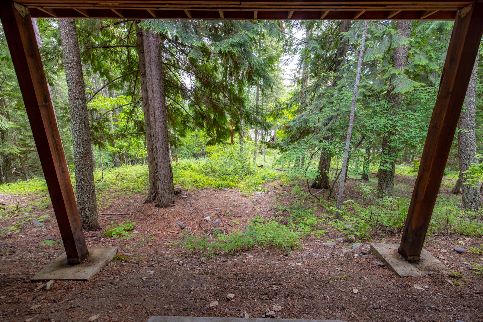 60 Limber Pine 60 Property Photo 25